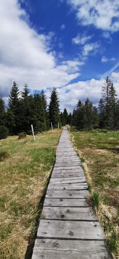 Apartmany Na Ceste Desna  Luaran gambar