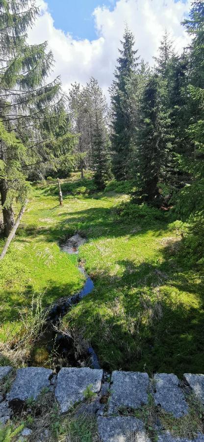 Apartmany Na Ceste Desna  Luaran gambar