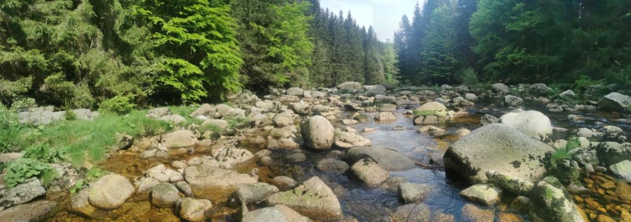 Apartmany Na Ceste Desna  Luaran gambar