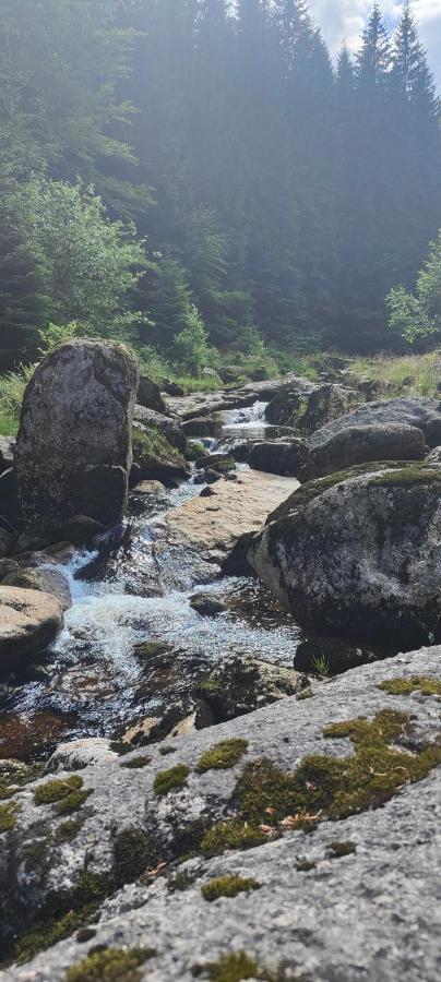 Apartmany Na Ceste Desna  Luaran gambar